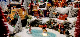 IMG_20201026_161013.jpg