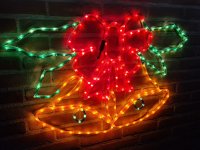 20201031_174547.jpg