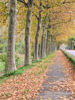 20201101_093117 (1).jpg