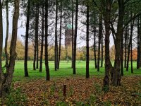 20201101_092738 (1).jpg