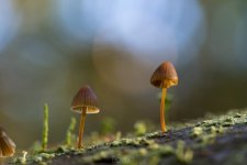 herfst2020-album-blog (1 van 1).jpg