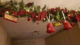 20181201_202551.jpg