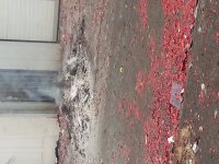 20170101_102427.jpg