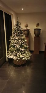 Kerstboom-2020.jpg