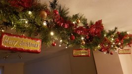 20201120_172326.jpg