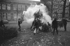 Kerstboom 18.jpg