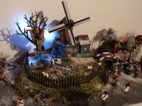 IMG_20201125_170508.jpg