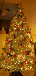20201129_175419.jpg