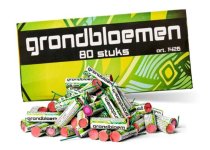 lidl grondbloemen 80st.JPG