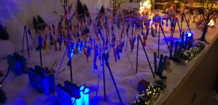 20201128_165919.jpg