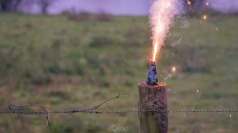 goedzo-pieter-album-blog (1 van 1).jpg