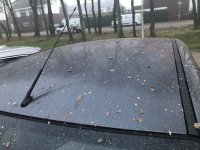 thumbnail_IMG_7728.jpg