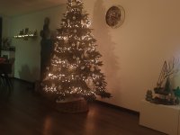 20201208_212137.jpg
