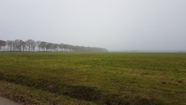 20201128_133946.jpg