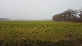 20201128_133951.jpg