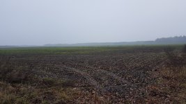 20201128_145624.jpg