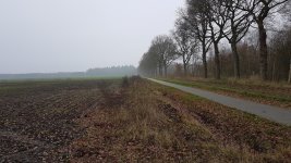20201128_145629.jpg
