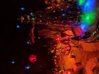 IMG_20201220_001354.jpg