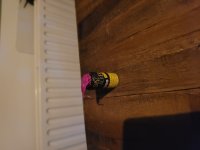 20201225_181223.jpg