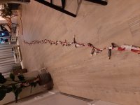 20201226_202556.jpg