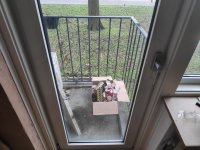 IMG_20210102_104417.jpg