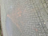 20210104_121955.jpg