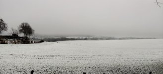 IMG_20210108_132121.jpg