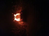 20210101_010232.jpg