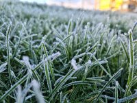20210109_101508.jpg