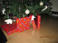 IMG_0730.jpg