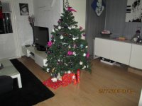 IMG_0729.jpg
