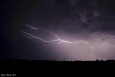 IMG_0150.jpg