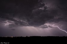IMG_0184.jpg