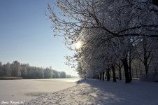 IMG_9954raw2.jpg