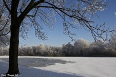 IMG_9967raw2.jpg