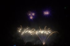 IMG_3466.jpg