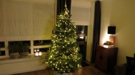 IMG_3764.jpg