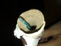 20131222_154411.jpg