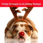 kerst kaart.jpg