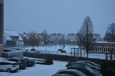 DSC_1844.jpg