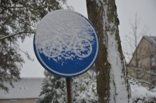DSC_1867.jpg