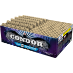 18022021929283431 Condor  left.png