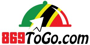 869ToGocom_Logo_PNG.jpg