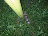 IMG_20210720_222125.jpg