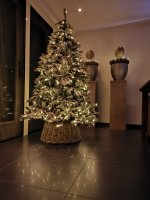 IMG_20201115_184923.jpg