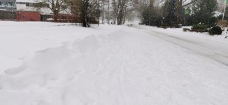 IMG_20210207_115950.jpg