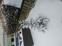 20210207_113452.jpg