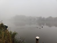 IMG_20211008_090416.jpg