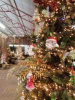 IMG_20211008_161354.jpg