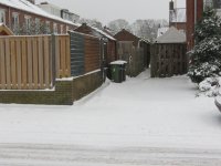 IMG_8374.jpg